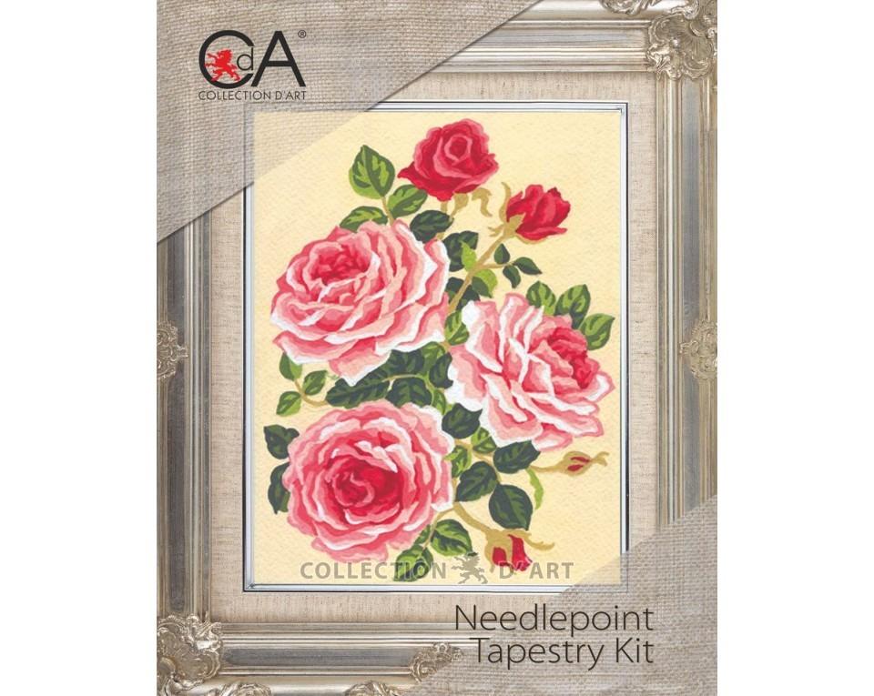 Tapestry Kits 3000 Series