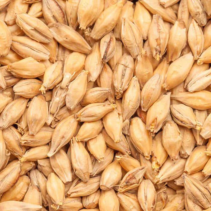 Crushed Base Malts