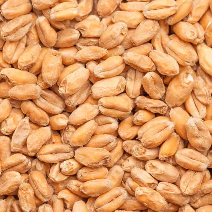 Crushed Base Malts