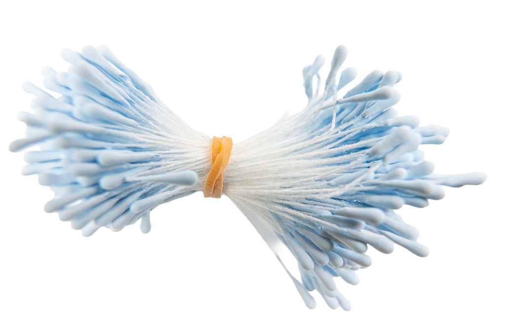 Stamens