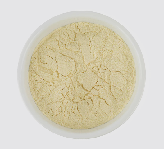 Dry Malt Extract (DME)