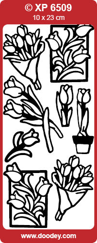 XP6509 Tulips/Various Prismatic Peel off