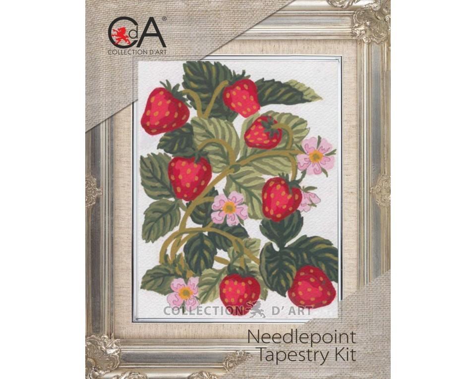 Tapestry Kits 3000 Series