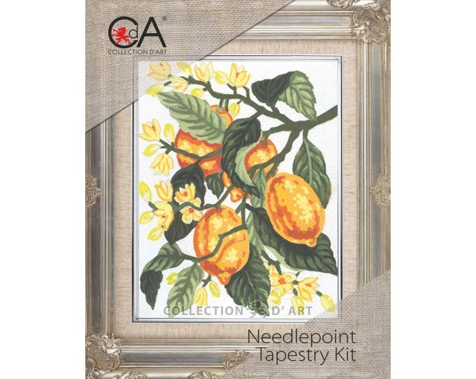 Tapestry Kits 3000 Series