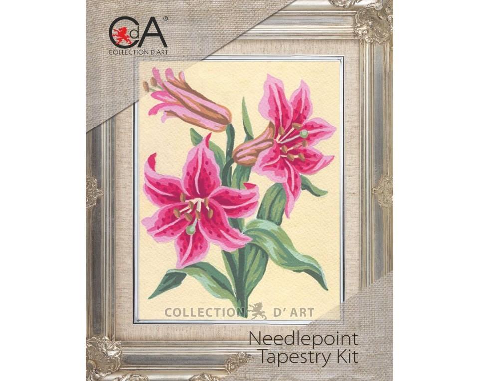 Tapestry Kits 3000 Series